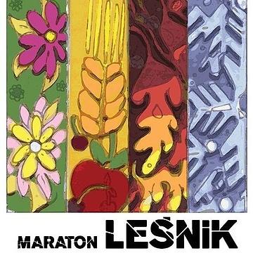 Leśnik Zima 2017