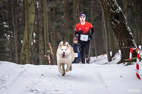 Krzysztof lors de Pogórzański Bieg Górski - Zima 2024