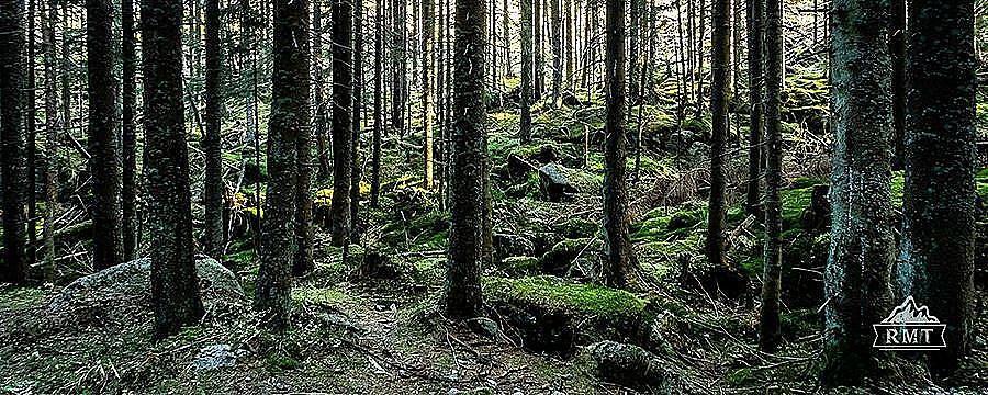Październik 310k 2025
